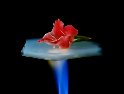 把握“十五五”节能新机遇：鼎业集团携无机阻热材料，，，，邀工业伙伴共赴节能降碳新赛道